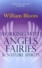 Working with Angels Fairies  Nature Spirits
