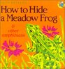 How to Hide a Meadow Frog  Other Amphibians