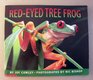 RedEyed Tree Frog