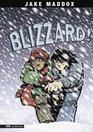 Blizzard A Survive Story