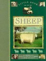 Little Book of Sheep