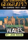 JawDropping Geography Fun Learning Facts About Wonderful Wales Illustrated Fun Learning For Kids