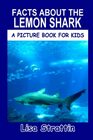 Facts About the Lemon Shark