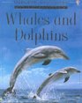 Whales and Dolphins Internet Linked