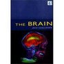 Equinox the Brain Brain