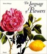 The Language of Flowers Symbols and Myths