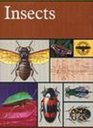 An introduction to the study of insects
