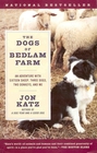 The Dogs of Bedlam Farm An Adventure with Sixteen Sheep Three Dogs Two Monkeys and Me