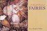 A Small Book of Fairies