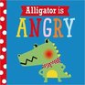 Playdate Pals Alligator Is Angry