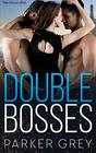 Double Bosses An Office Romance