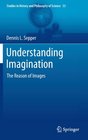 Understanding Imagination The Reason of Images