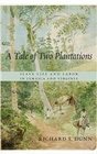 A Tale of Two Plantations Slave Life and Labor in Jamaica and Virginia