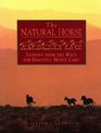 Natural Horse Lessons from the Wild for Domestic Horse Care