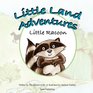 Little Land Adventures  Little Racoon