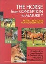 The Horse from Conception to Maturity