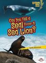Can You Tell a Seal from a Sea Lion