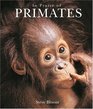 In Praise of Primates