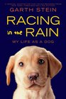 Racing in the Rain My Life as a Dog