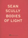 Sean Scully Bodies of Lights