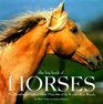 The Big Book of Horses The Illustrated Guide to More Than 100 of the World's Best Breeds