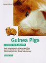The Guinea Pig How to Care for Them Feed Them and Understand Them