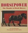 Horsepower The Wonder of Draft Horses