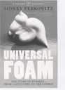 Universal Foam the story of bubbles from cappuccino to the cosmos