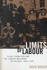 The Limits of Labour Class Formation and the Labour Movement in Calgary 18831929