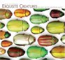 Exquisite Creatures 2010 Calendar