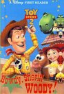 Howdy Sheriff Woody