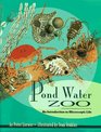 Pond Water Zoo An Introduction to Microscopic Life
