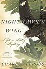 Nighthawk's Wing A Gideon Stoltz Mystery