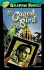Oxford Reading Tree Stage 16 TreeTops Graphic Novels The Caged Bird
