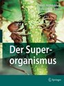 Der Superorganismus Der Erfolg von Ameisen Bienen Wespen und Termiten