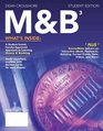 MB 3