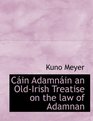 Cin Adamnin  an OldIrish Treatise on the law of Adamnan