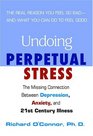 Undoing Perpetual Stress  The Missing Connection Between Depression Anxiety and 21stCentury Illness