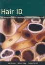 Hair ID An Interactive Tool for Identifying Australian Mammalian Hair
