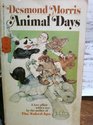 Animal Days
