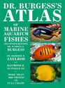 Dr Burgess's Atlas of Marine Aquarium Fishes