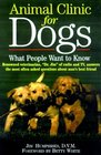 Animal Clinic for Dogs  What People Want to Know