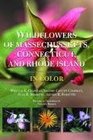 Wildflowers of Massachusetts Connecticut and Rhode Island in Color