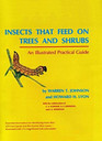 Insects That Feed on Trees and Shrubs