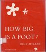 How Big Is a Foot