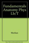 Cat Fundamentals of Anatomy and Physiology