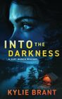 Into the Darkness (Cady Maddix Mystery Book 4): Cady Maddix Mystery