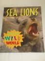 Wild Wild World  Sea Lions