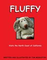 Fluffy Visits The North Coast of California