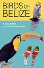 Birds of Belize (Corrie Herring Hooks Series)